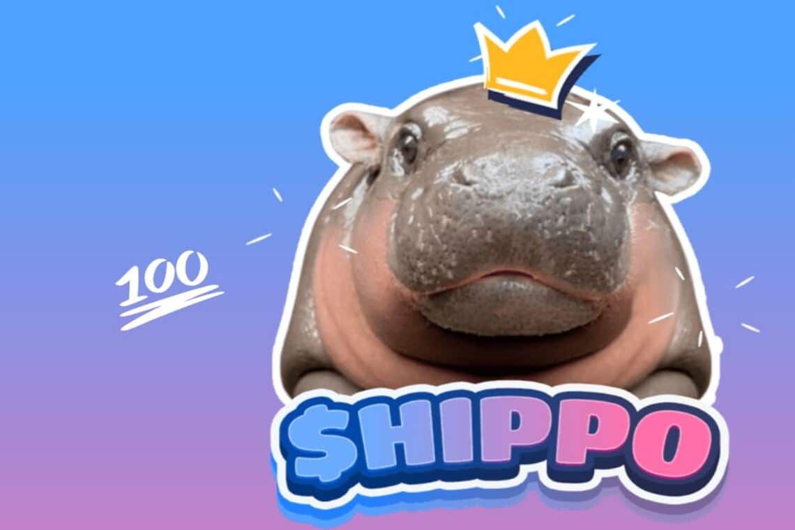 Hippo, he arrived listing on Binance Futures