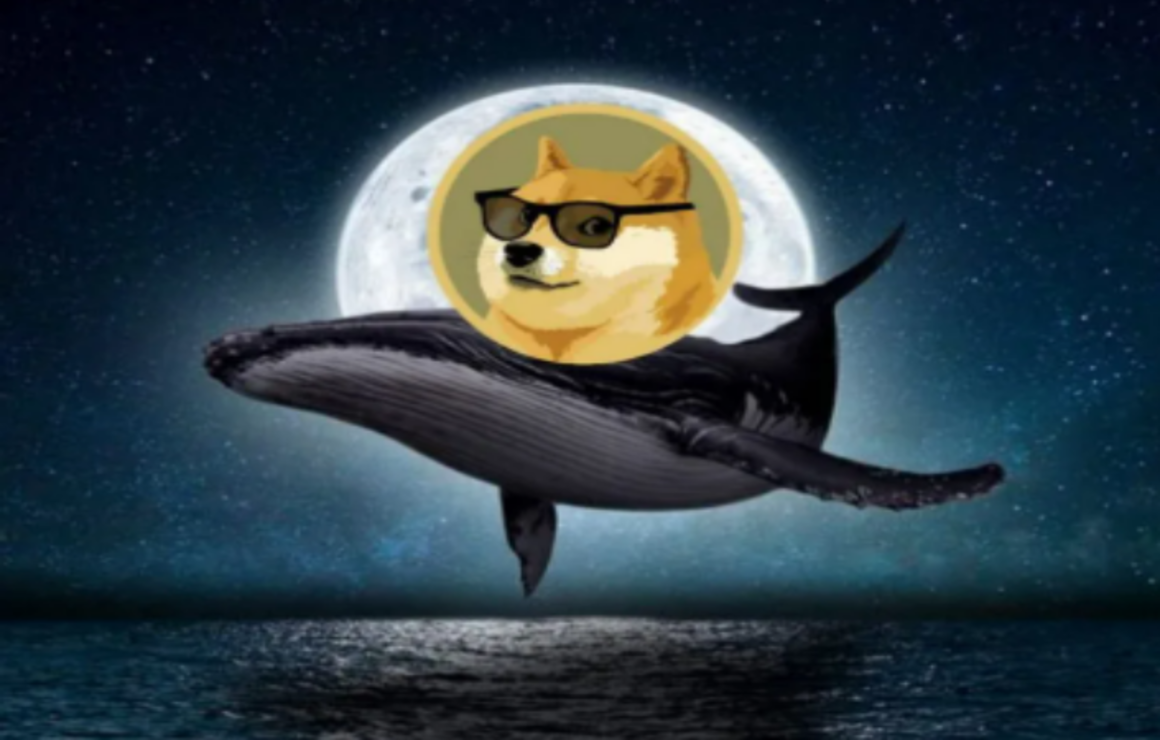 Le whale acquistano 100 milioni in DOGE in 24 ore, mentre puntano anche il progetto emergente Solaxy