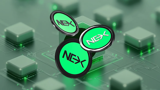 Investors Stay Focused on Nexchain Presale as Solaxy Hype Grows