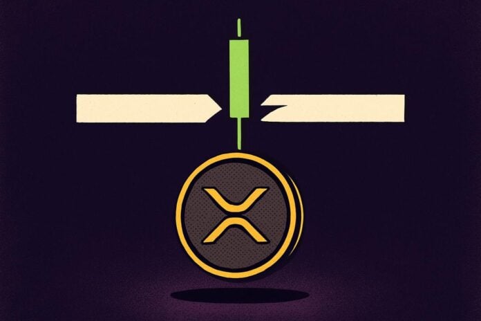 XRP bear market reversal